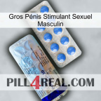 Gros Pénis Stimulant Sexuel Masculin 39